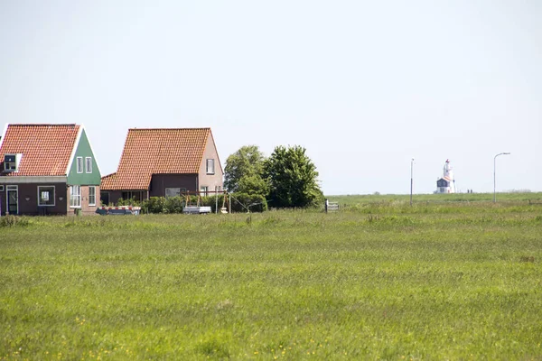 Holandia Północ Holland Marken Sierpień 2018 Great Łąka Marken — Zdjęcie stockowe