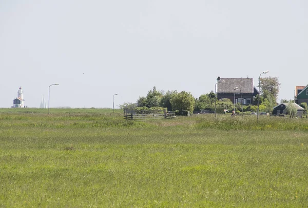 Nizozemsko Severní Holandsko Marken Srpen 2018 Great Louka Marken — Stock fotografie