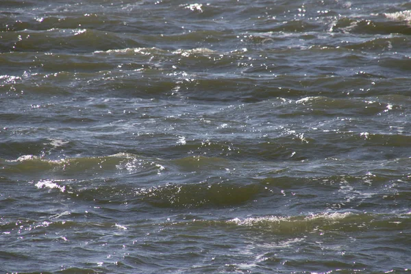 Nederland Noord Holland Markermeer Augustus 2018 Golven Van Het Markermeer — Stockfoto