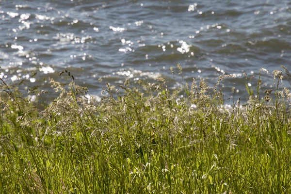 Netherlands North Holland Markermeer August 2018 Waves Markermeer — Stock Photo, Image