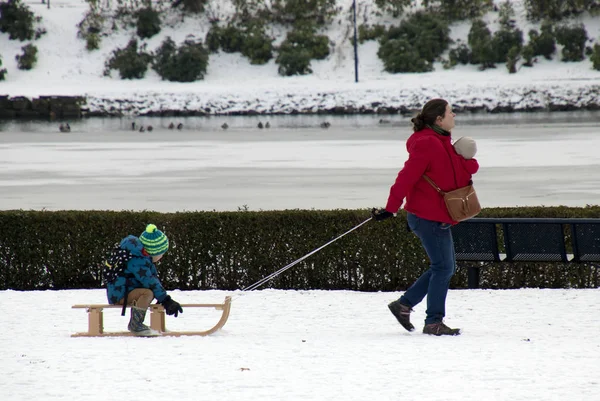 Woman Pulls Sled Her Children — Stock Photo, Image