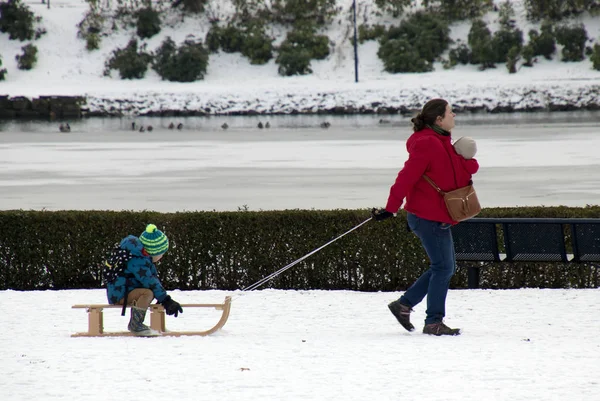 女人为她的孩子拉雪橇 — 图库照片