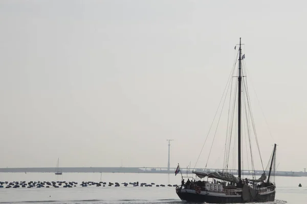 布鲁尼塞 2018年7月 帆船离开布鲁尼塞港在泽兰 — 图库照片