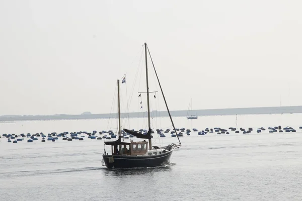 Netherland Zeeland Bruinisse Juli 2018 Segel Båtar Som Lämnar Hamnen — Stockfoto