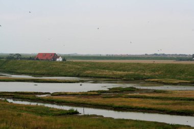 Zeeland Köprüsü Doğu Scheldt 'e yayılmıştır.