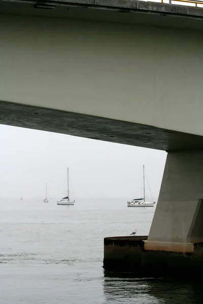 Zeeland Köprüsü Doğu Scheldt 'e yayılmıştır. — Stok fotoğraf