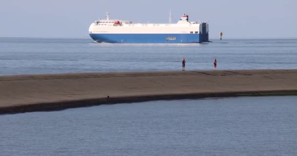 Car Carrier Ship City Rotterdam Cargo — Stock Video