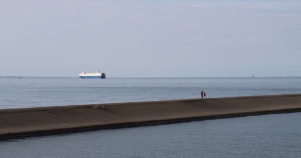 Przewoźnik Samochodowy Ship City Rotterdam Cargo — Wideo stockowe