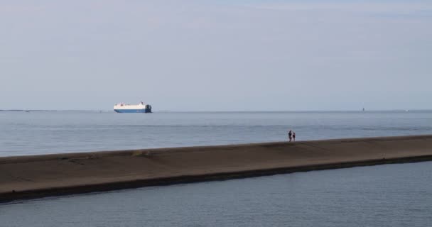 Перевізник Судно City Rotterdam Cargo — стокове відео