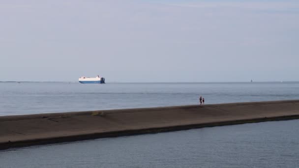 Przewoźnik Samochodowy Ship City Rotterdam Cargo — Wideo stockowe