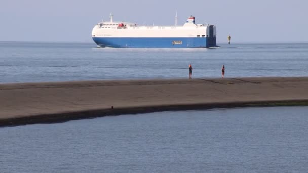Portarinfuse Nave Città Rotterdam Cargo — Video Stock