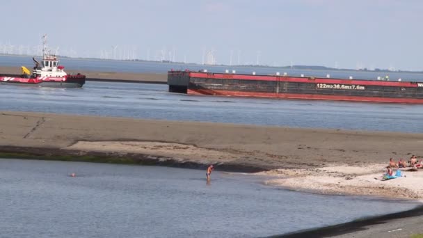 Eemshaven Holandia Circa Sierpień 2020 Statek Towarowy Wzdłuż Wybrzeża Eemshaven — Wideo stockowe