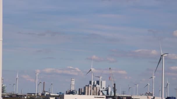 Eemshaven Niederlande August 2020 Lagerterminal Von Vopak — Stockvideo