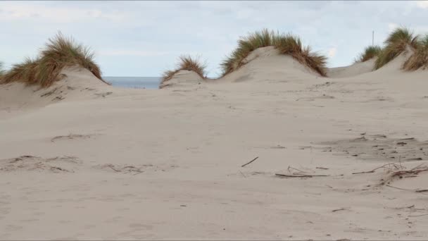 Neeltje Jans Ist Eine Künstliche Insel Den Niederlanden Auf Halbem — Stockvideo
