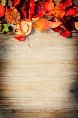 Ahşap tahta üzerinde renkli sonbahar yaprakları 