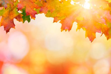 Renkli sonbahar günbatımı arka plan 