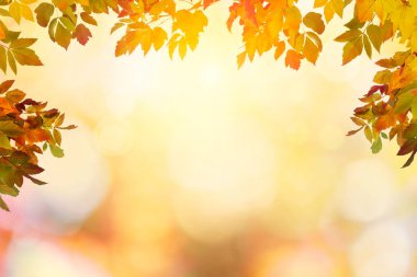 Renkli sonbahar günbatımı arka plan 