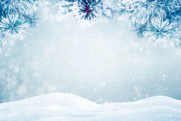 Zimní Pozadí Padající Sníh Pine Tree Větve Kopírovat Prostoru — Stock fotografie