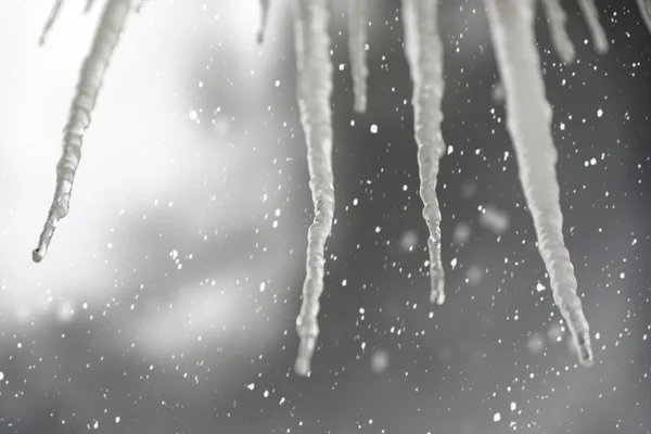 Snowy Winter Sky Icicles — Stock Photo, Image