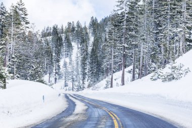 Ormanı Kışın buzlu dağ yolu 