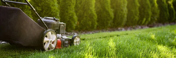 Lawn mower cutting green grass