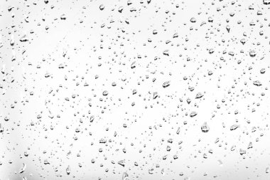 beyaz arkaplanda su damlaları