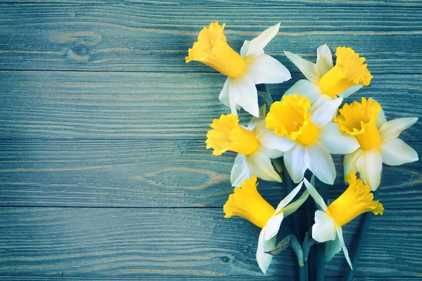 Flores Narciso Sobre Fondo Azul Madera —  Fotos de Stock