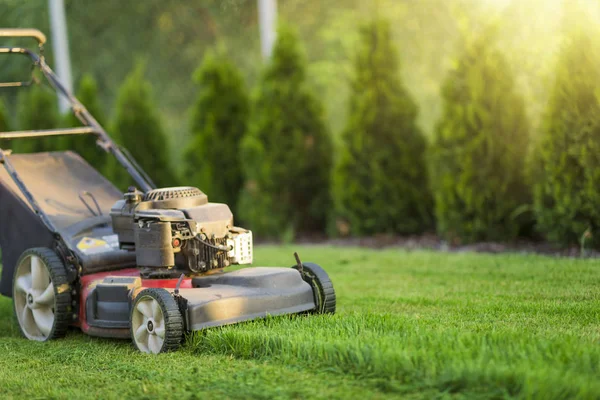 Rasenmäher Mäht Grünes Gras — Stockfoto