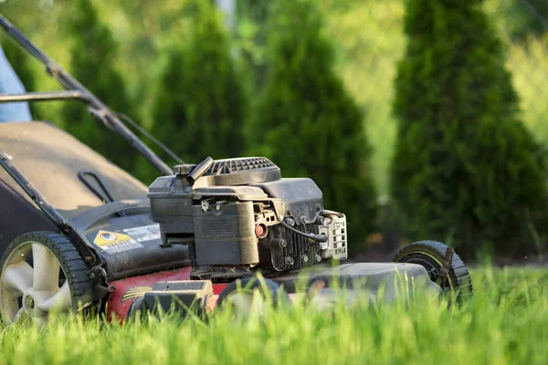 Rasenmäher Mäht Grünes Gras Sonnenlicht — Stockfoto