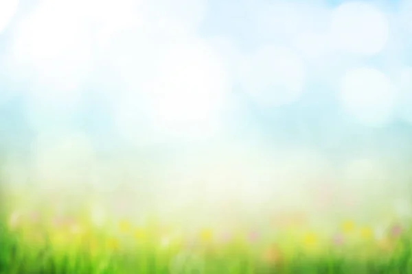 Abstract Spring Background Sunny Blue Sky Meadow Bokeh — Stock Photo, Image