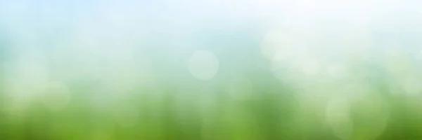 Soyut Yeşil Çayır Bokeh Ile Güneşli — Stok fotoğraf