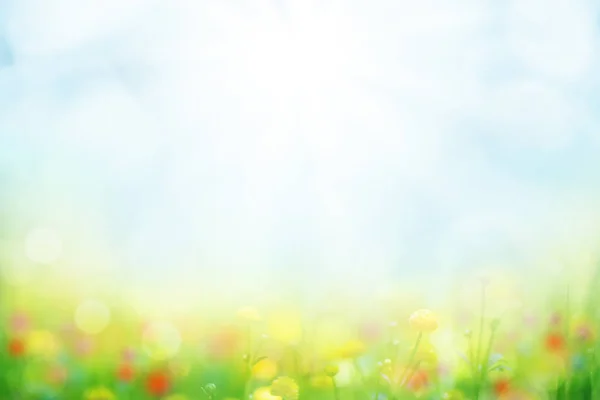 Fundo Abstrato Com Grama Verde Flores Sobre Céu Azul Ensolarado — Fotografia de Stock