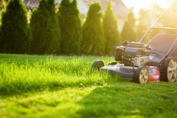 Rasenmäher Mäht Grünes Gras Sonnenlicht — Stockfoto