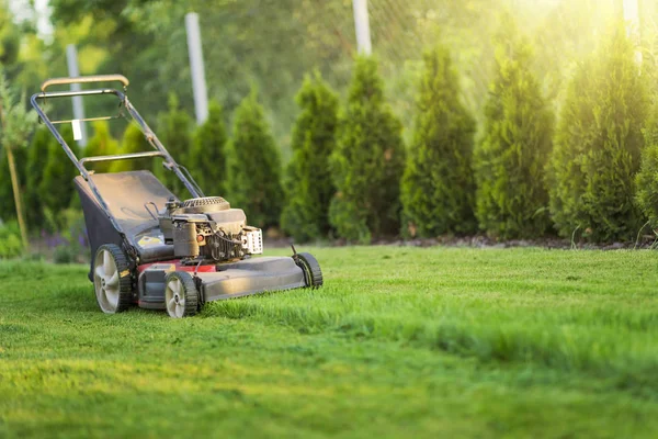 Lawn Mower Cutting Green Grass Sunlight — Stock Photo, Image