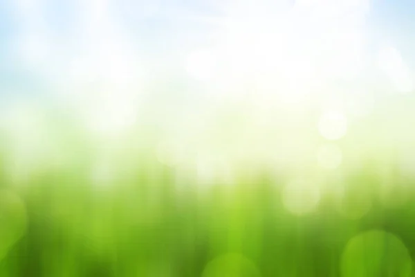 Green Grass Blue Sky Abstract Background Bokeh — Stock Photo, Image