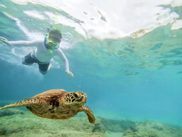 男孩在海洋中浮潜 观看绿海龟在珊瑚礁上方游泳 — 图库照片
