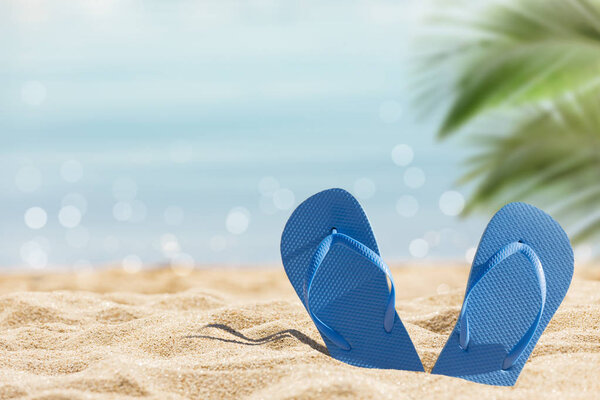 flip flops on the sunny tropical beach with palm tree