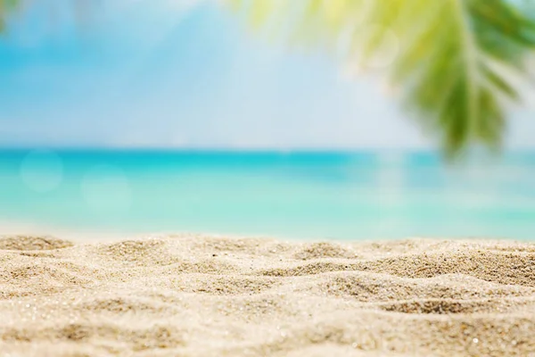 Plage Tropicale Ensoleillée Avec Fond Palmiers — Photo