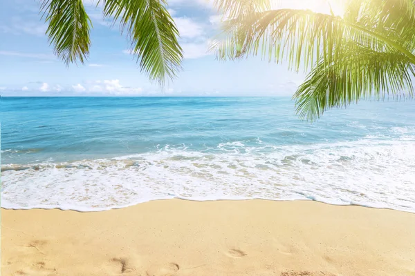 Sunny Tropical Caribbean Beach Palm Trees Turquoise Water — Stock Photo, Image