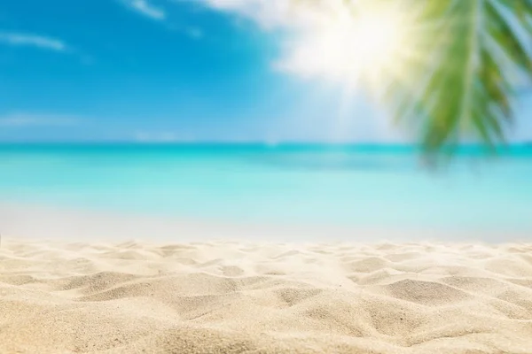 Sonniger Tropischer Karibikstrand Mit Palmen Und Türkisfarbenem Wasser — Stockfoto