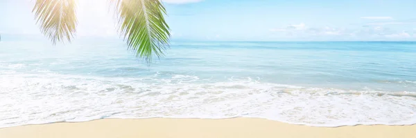 Palmiye Ağaçları Turkuaz Ile Güneşli Tropikal Karayip Plaj — Stok fotoğraf