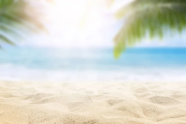 Palmiye Ağaçları Turkuaz Ile Güneşli Tropikal Karayip Plaj — Stok fotoğraf