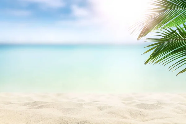 Sunny Tropical Caribbean Beach Palm Trees Turquoise Water — Stock Photo, Image