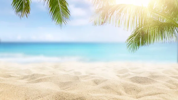 Sonniger Tropischer Karibikstrand Mit Palmen Und Türkisfarbenem Wasser — Stockfoto