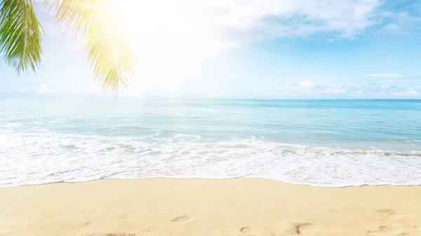 ヤシの木と太陽が降り注ぐ熱帯ビーチ — ストック写真