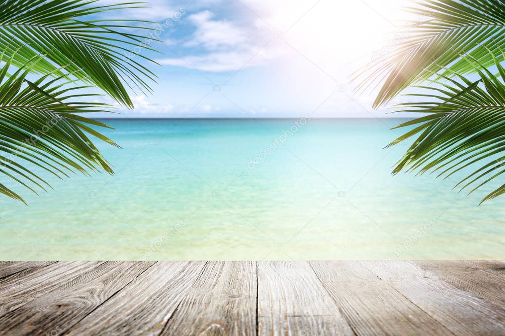 Sunny tropical beach with palm trees