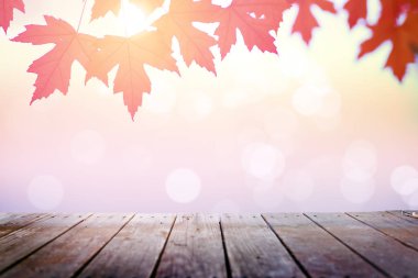 Güneşli gün arka planda sonbahar yaprakları ile Ahşap masa