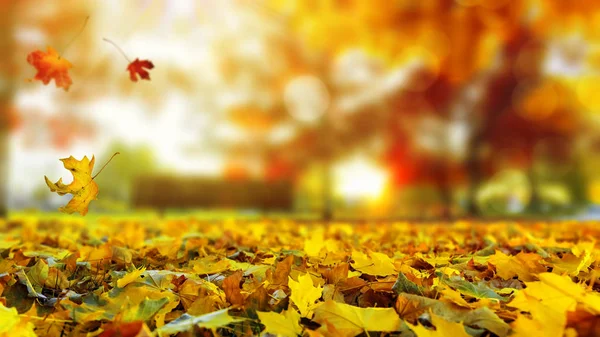 五颜六色的秋季日落背景 — 图库照片