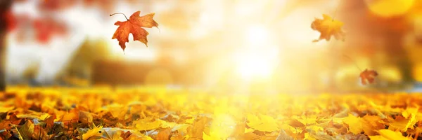 カラフルな秋夕日を背景 — ストック写真
