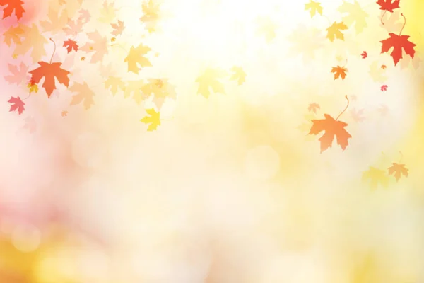 多色の葉を持つ抽象的な秋の背景 — ストック写真